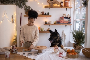 8 Holiday Treats Recipes to Light Up Your Dog’s Christmas 8 Holiday Treats Recipes to Light Up Your Dog’s Christmas